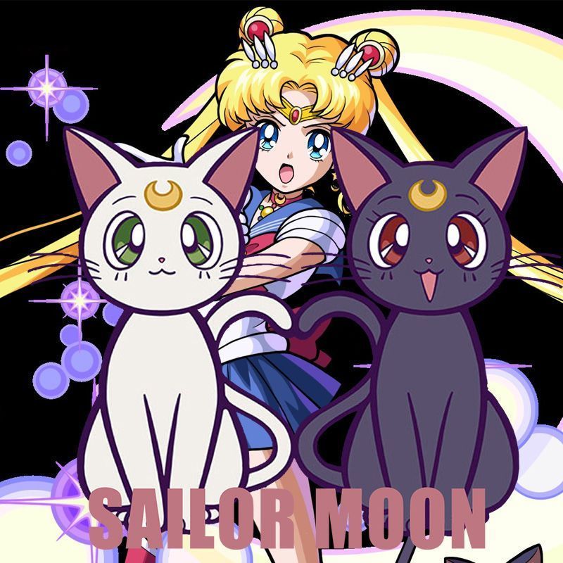 更新:79769491-92 (2件/2pc) 成人美少女戰士sailor Moon tee #pdc 810760