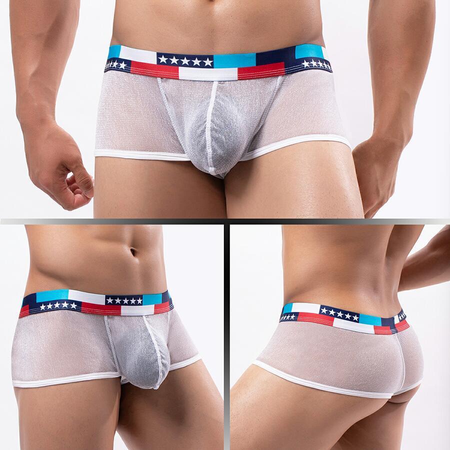 更新:79769391-98 (4pc/4條) 全新男裝男士內褲底褲 men underwear under pants brief thong bikini #pdc 960639