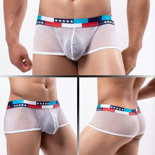 更新:79769391-98 (4pc/4條) 全新男裝男士內褲底褲 men underwear under pants brief thong bikini #pdc 960639